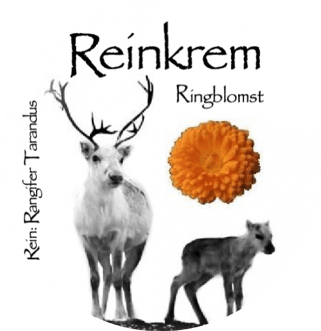 Hovedbilde Reinkrem Ringblomst